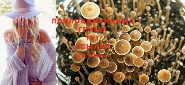 ГАЛЛЮЦИНОГЕННЫЕ ГРИБЫ Абинск