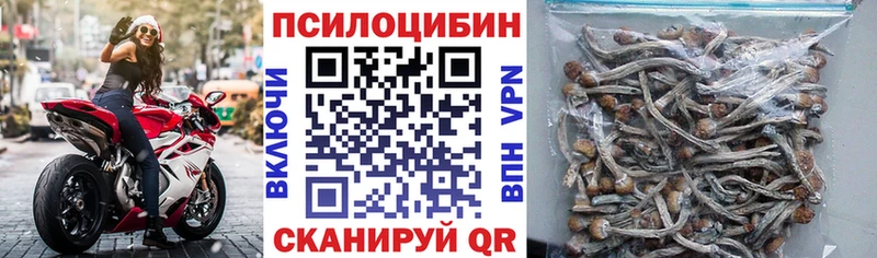 Галлюциногенные грибы Psilocybine cubensis  купить наркотики сайты  Алатырь 